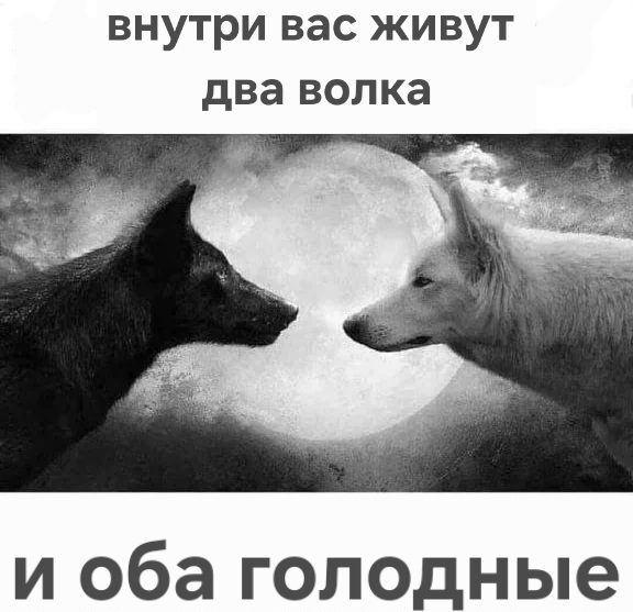 ������� ������ ��������