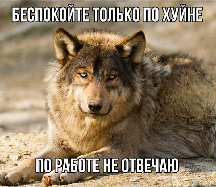 ����� - ��� �� ������ ����� ����, �� ��� � ��������� �������