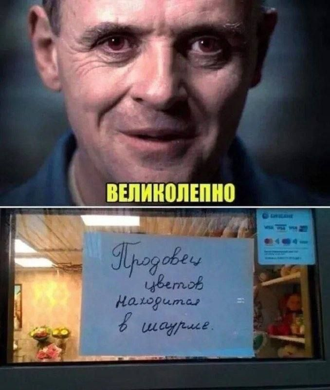 Из чего же сегодня твоя шаурма?