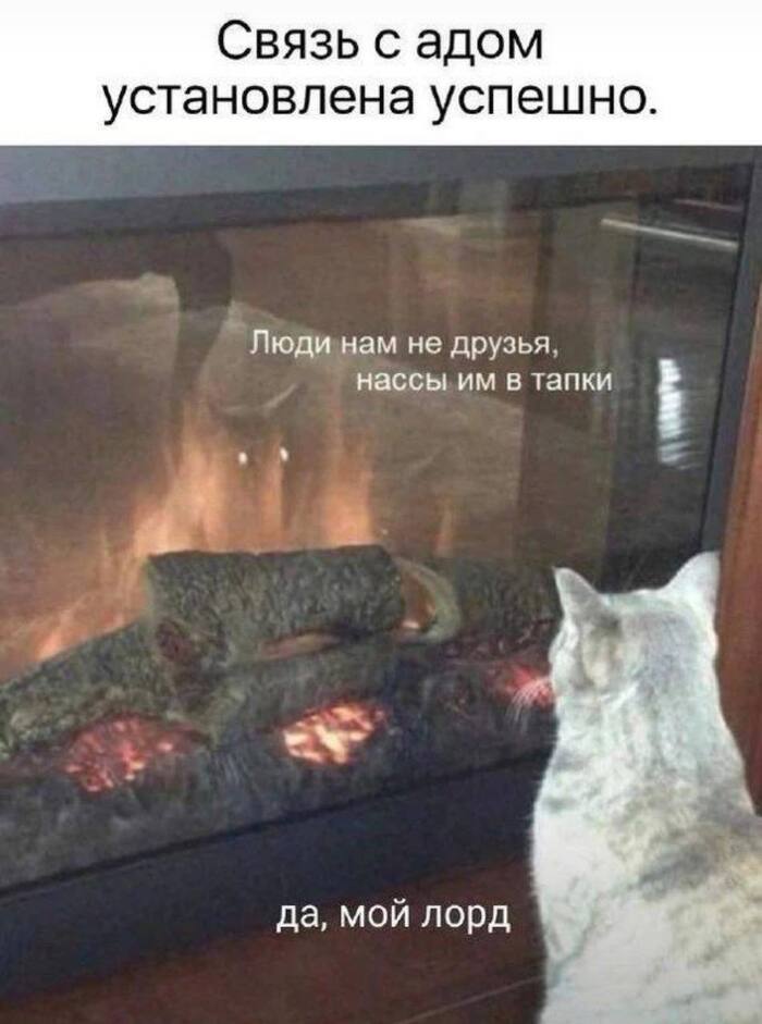 � ���