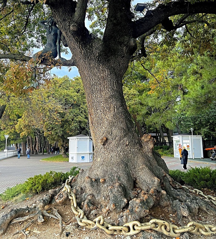 ��� ������ � �������. ����: ����� �.