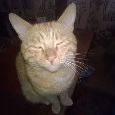 �����