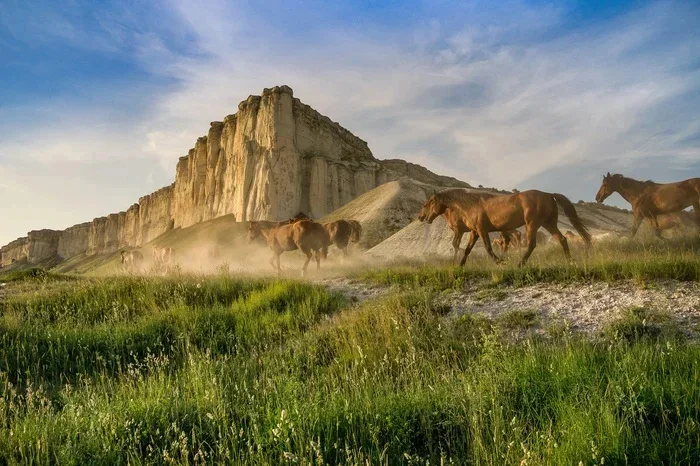 Top 20 Natural Monuments in Crimea You Must See - Series My Crimea, My, Travel across Russia, Road trip, Crimea, Interesting places, Black Sea, sights, Sevastopol, Cape Fiolent, Yalta, Meganom, Longpost