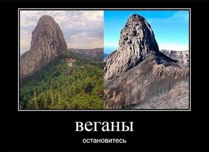 ������ ���������� �������