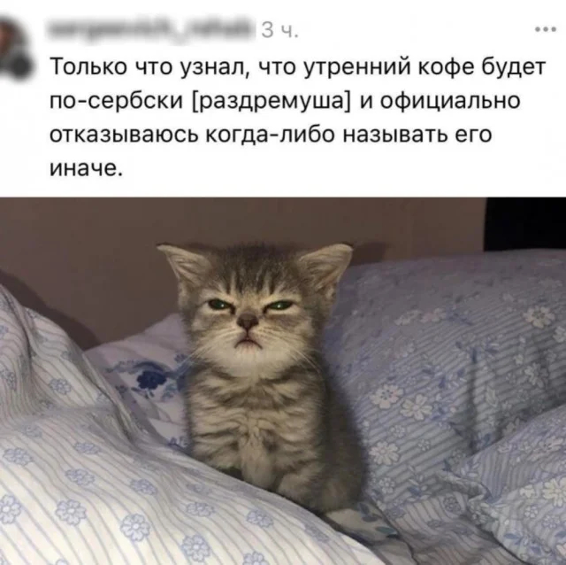 ����� �� ���� ��������� �������