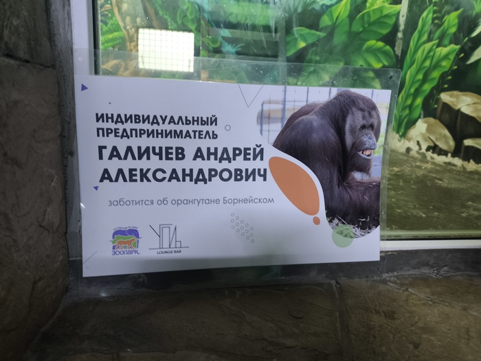 �������������� ���������������