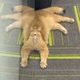 ����� ����� ������ ���� �����������