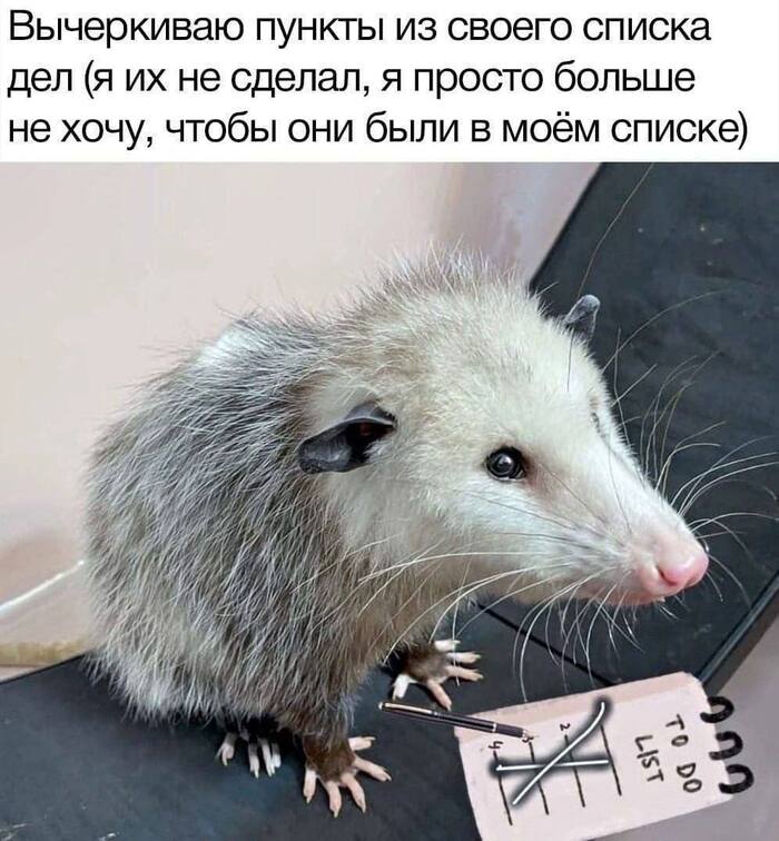 ��������� ����������