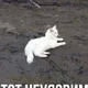 Аватар пользователя sasaqwe