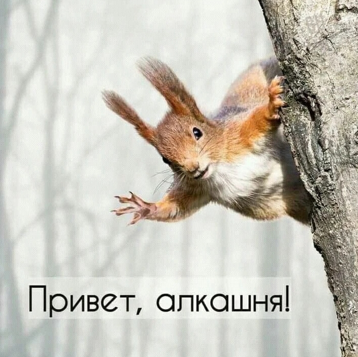 ���� ������� ����� �����