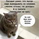 ����� ����� ������ ���� �����������