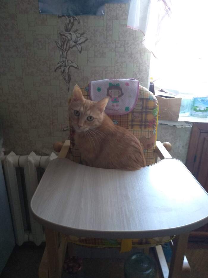 Сегодня ушёл на радугу