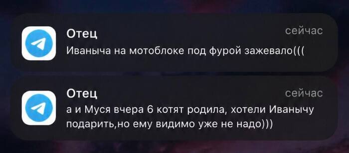 � �� ������ ������?)