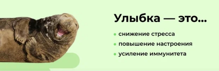 � � ��������