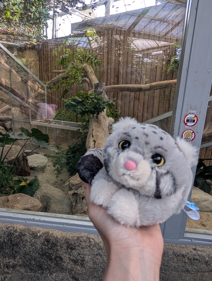 ������ �������� - ��� �� Kobe Animal Kingdom!
