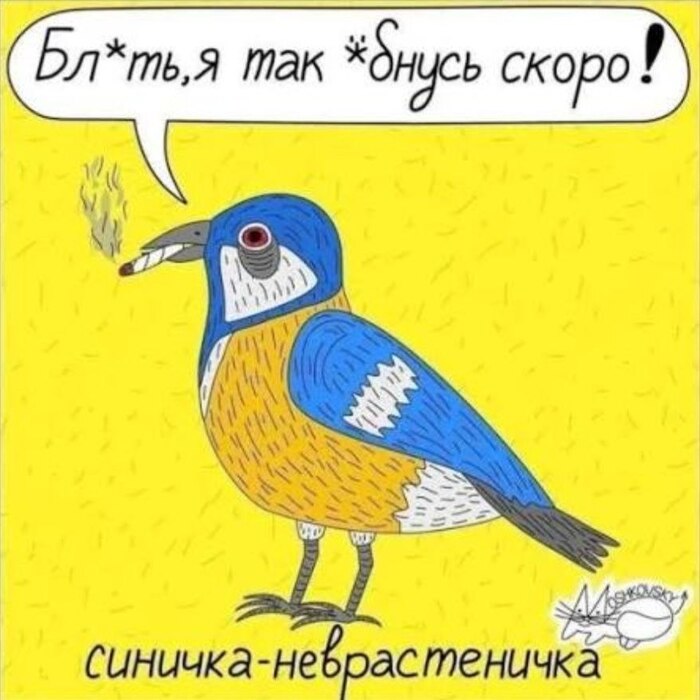 Бл*ть,я так *бнусь скоро!