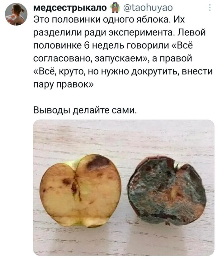 �������� �����������