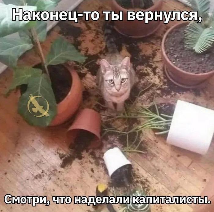 ����������� ����� ��������� ���������� ������ � ��������?)))�