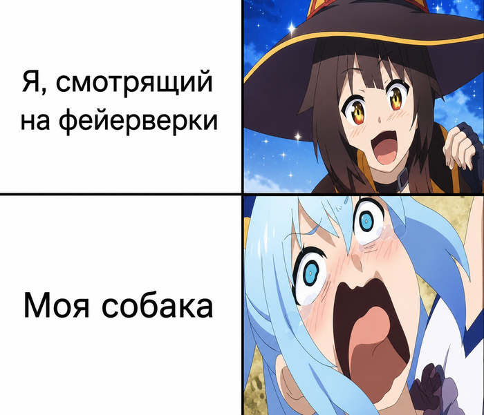 POV: у вас есть собака