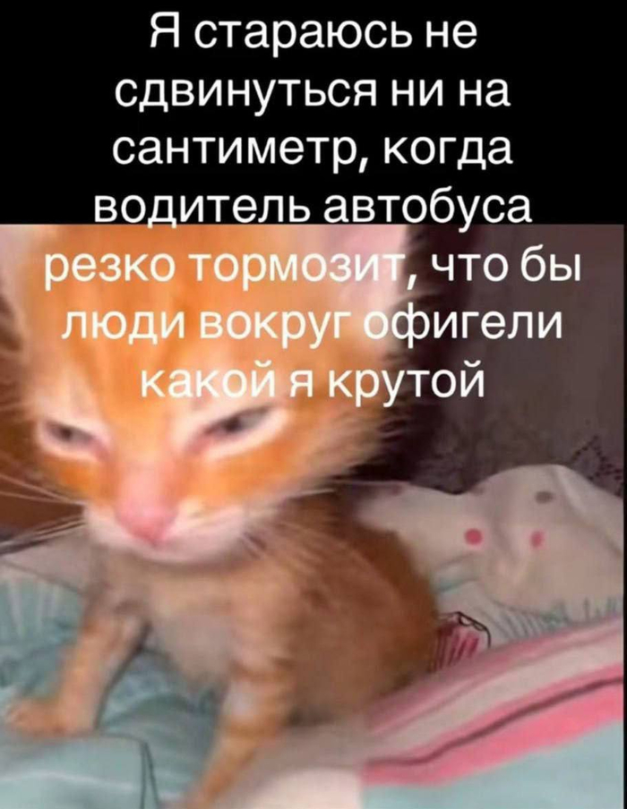 �������� �������