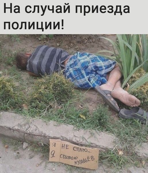 ��� ���� ����������