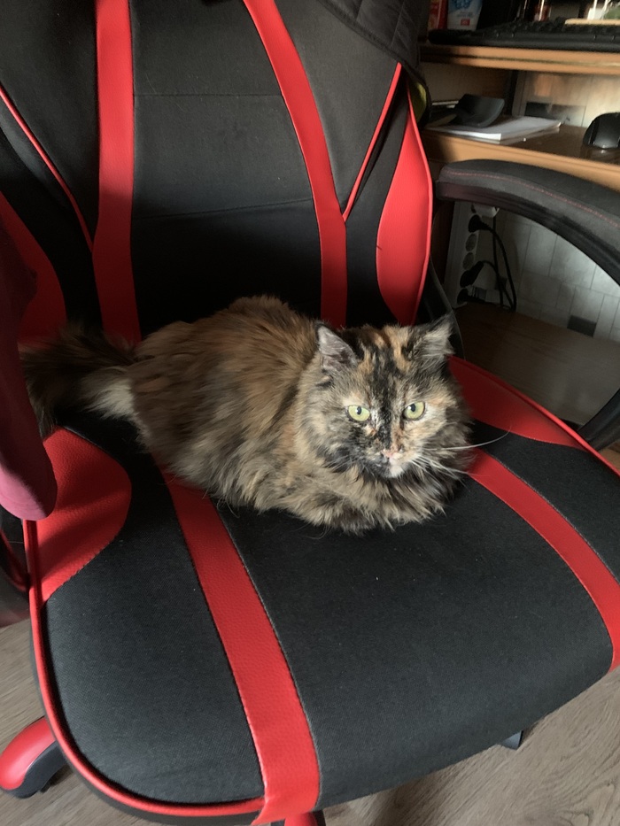 Алиса, 16 лет