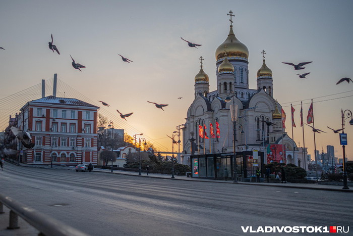 Елена Буйвол / <!--noindex--><a href="https://pikabu.ru/story/zhit_slozhno_no_esli_zashlo_uekhat_trudno_za_chto_priezzhie_lyubyat_i_nenavidyat_vladivostok_13996724?u=http%3A%2F%2FVLADIVOSTOK1.RU&t=VLADIVOSTOK1.RU&h=65ff03fe28c7228e4127e83457e6f4a14f0430f6" title="http://VLADIVOSTOK1.RU" target="_blank" rel="nofollow noopener">VLADIVOSTOK1.RU</a><!--/noindex-->