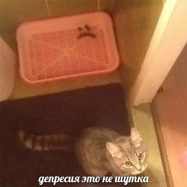 Это не шутка!)