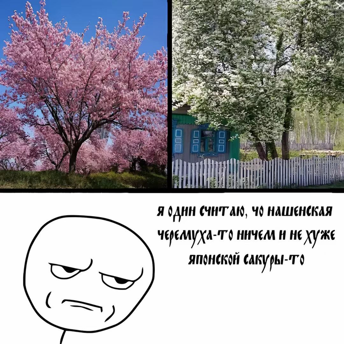 � ������ �����