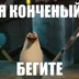xeL4
