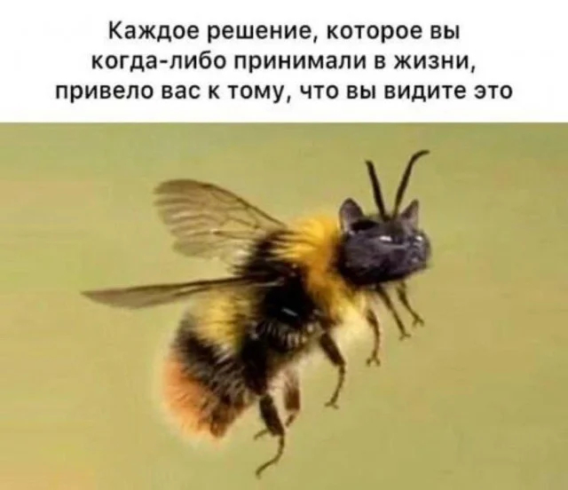 ��