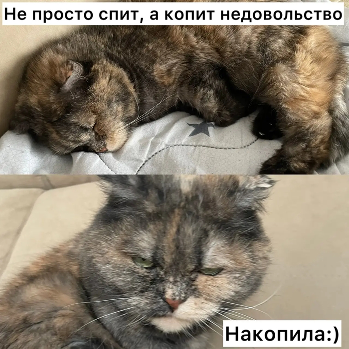 ����-�� ���� �� ��� ���������� ���������