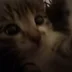monyabebebe