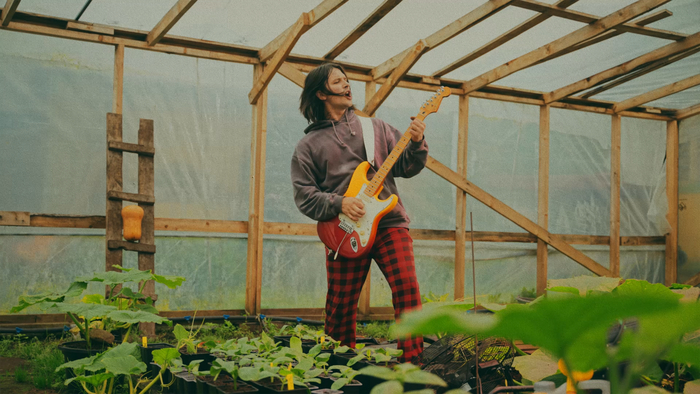 Extreme Grower and Fender Player Plus Tequila Sunrise