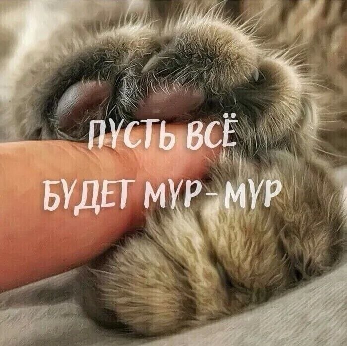 ����� �� ���, ���� ��� (����*��� � Pinterest)
