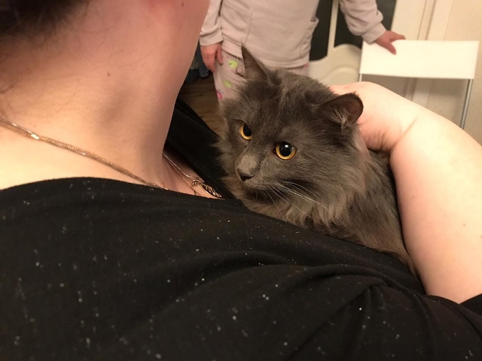 ��� � ��������