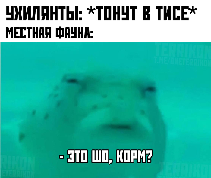 Демократия - это когда ты можешь пойти и утонуть в Тисе, чтоб не стать мясом на фронте