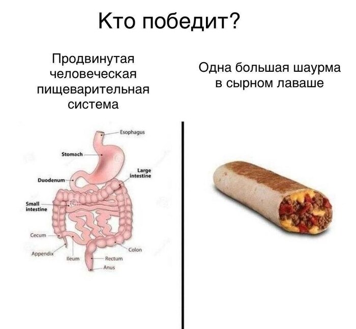 Фаворит очевиден