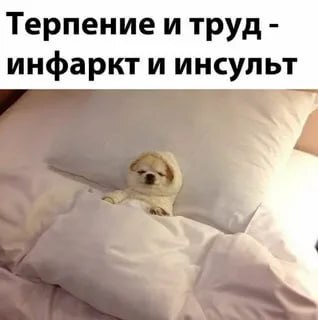 ����� �� ����������