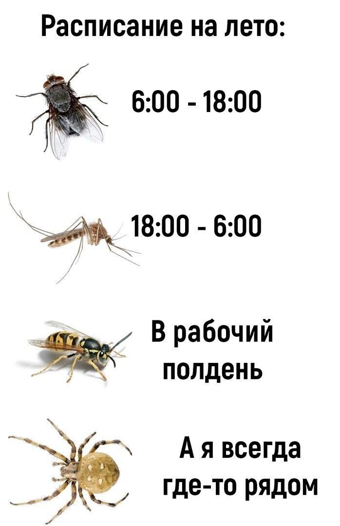 Скоро лето