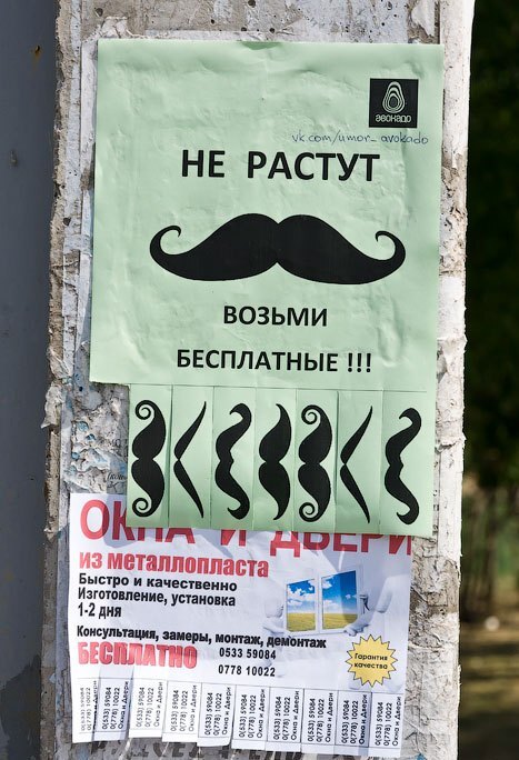 Ребят, кому нужны усики?))))