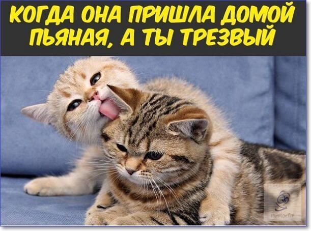 Интересно, у всех так?)))))