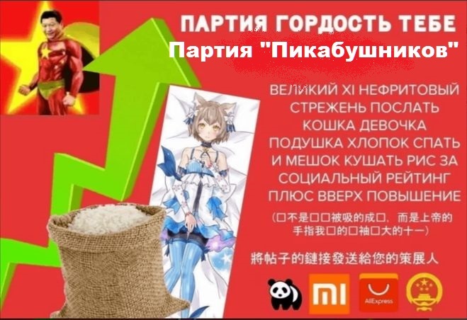 �� ������������ ������������ ��������� "������ ������������" (��������). ������������ ��������������. �������� �� ���������� �������