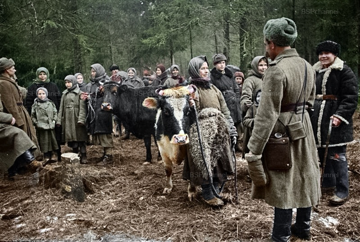 Фотограф: Аркадий Шайхет