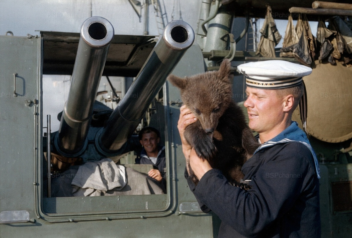 Фотограф: Евгений Халдей