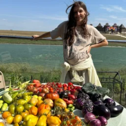 dashagardencore