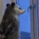 ����� ����� ������ ���� �����������