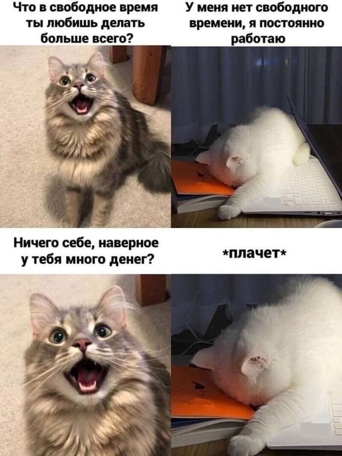 *������*