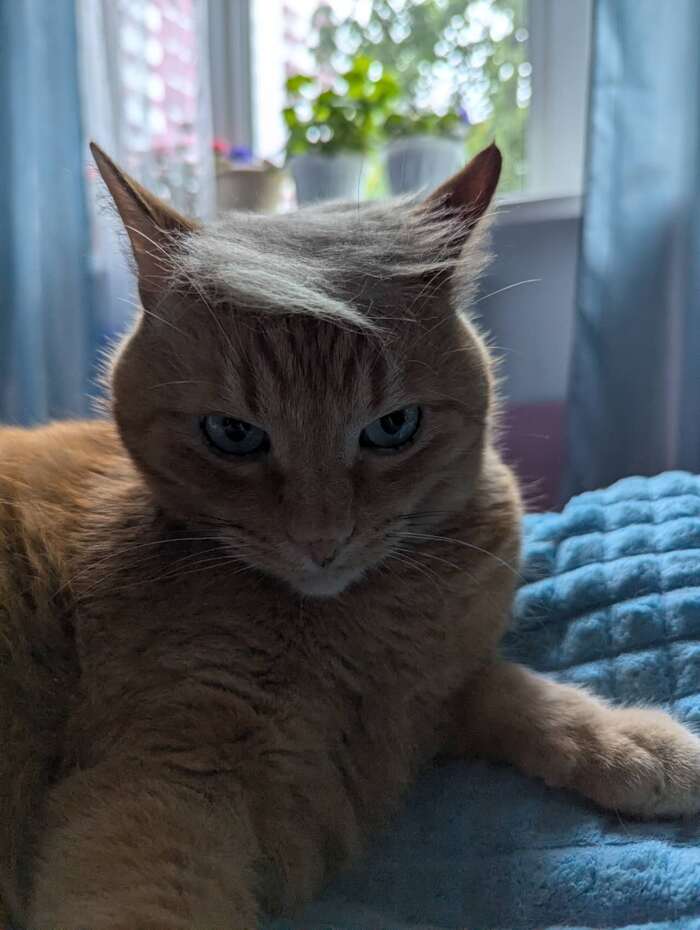 Трамп задумался