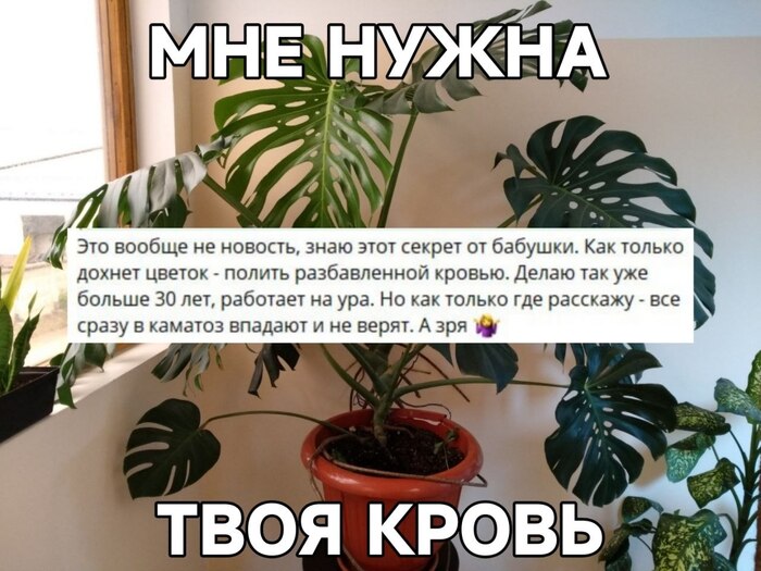 �������� ���������, ���������� ������� ��������� �������� ���������